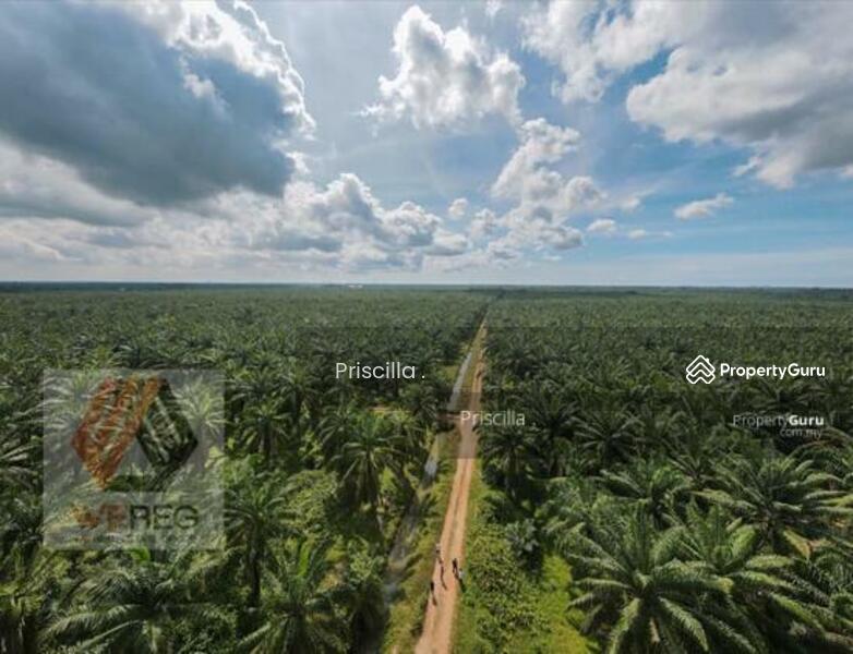 Pulau Carey, Port Klang, Klang, Selangor, Industry Properties for sale