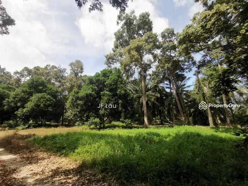 Agricultural Land For Sale in Malaysia PropertyGuru Malaysia